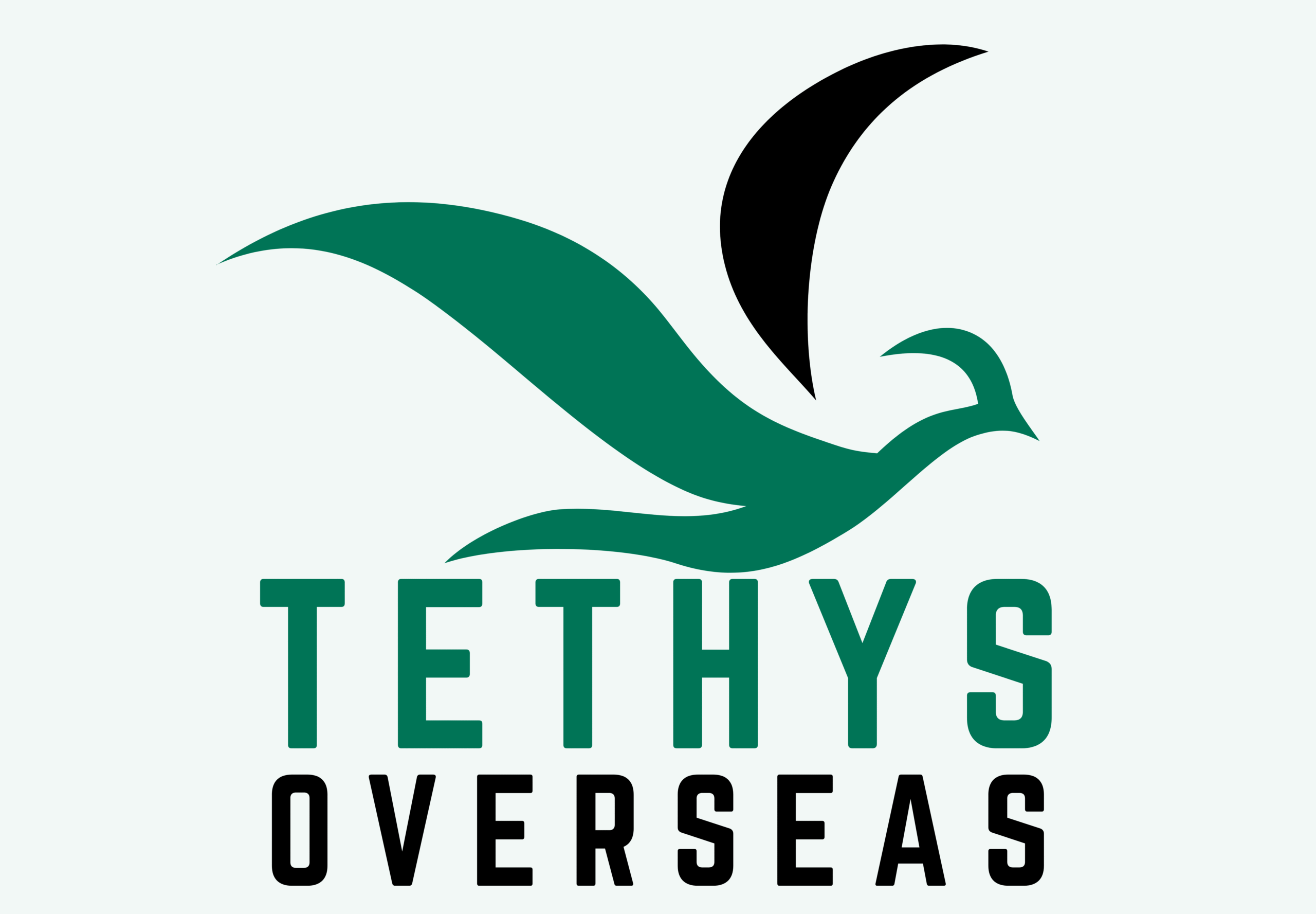 Tethys Overseas Immigration and Visa Consultancy LLC